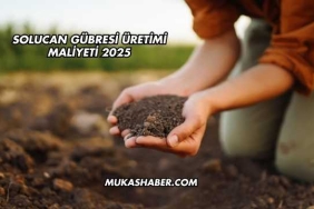 Solucan Gübresi Üretimi Maliyeti 2025