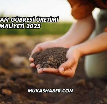 Solucan Gübresi Üretimi Maliyeti 2025