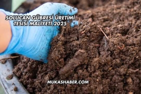Solucan Gübresi Üretimi Tesisi Maliyeti 2025