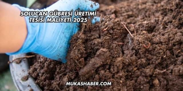 Solucan Gübresi Üretimi Tesisi Maliyeti 2025