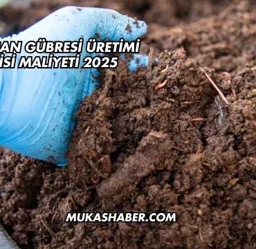 Solucan Gübresi Üretimi Tesisi Maliyeti 2025