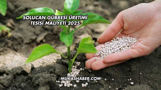 Solucan Gübresi Üretimi Tesisi Maliyeti 2025