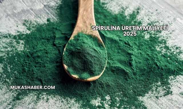 Spirulina Üretim Maliyeti 2025