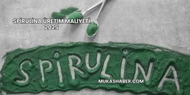 Spirulina Üretim Maliyeti 2025