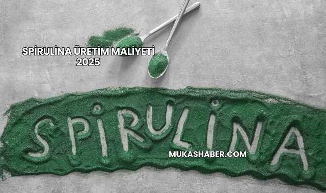 Spirulina Üretim Maliyeti 2025
