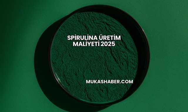 Spirulina Üretim Maliyeti 2025