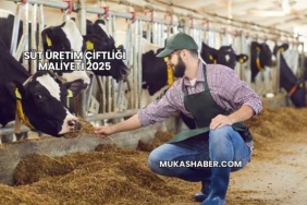 Süt Üretim Çiftliği Maliyeti 2025