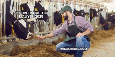 Süt Üretim Çiftliği Maliyeti 2025