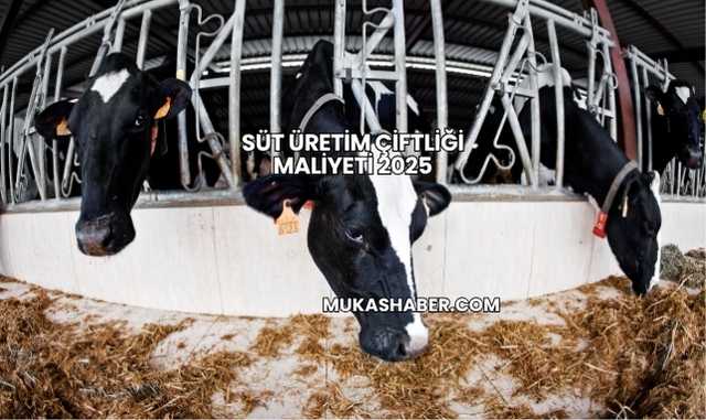 Süt Üretim Çiftliği Maliyeti 2025