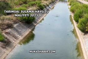 Tarımsal Sulama Havuzu Maliyeti