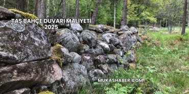 Taş Bahçe Duvarı Maliyeti 2025