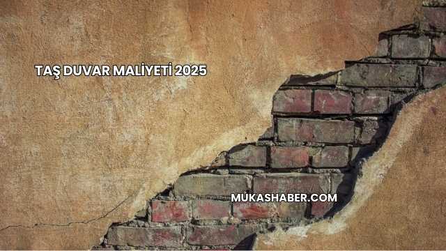 Taş Duvar Maliyeti 2025