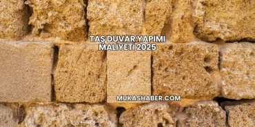 Taş Duvar Yapımı Maliyeti 2025