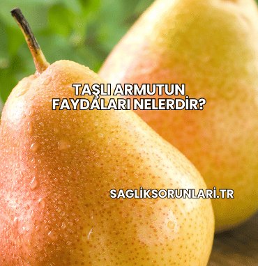 Taşlı Armutun Faydaları Nelerdir?