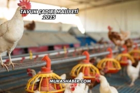 Tavuk Çadırı Maliyeti 2025