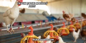 Tavuk Çadırı Maliyeti 2025