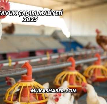 Tavuk Çadırı Maliyeti 2025