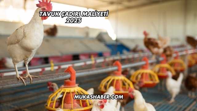 Tavuk Çadırı Maliyeti 2025