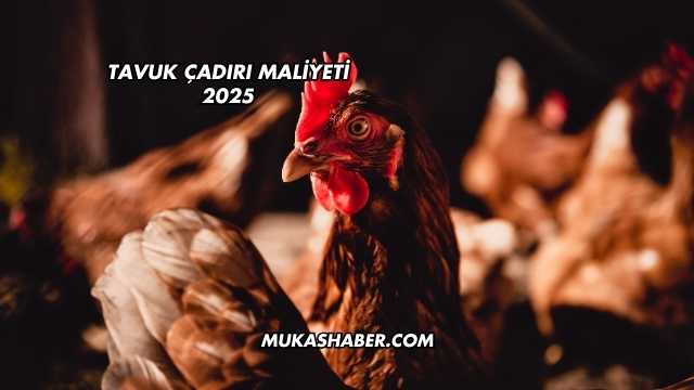 Tavuk Çadırı Maliyeti 2025