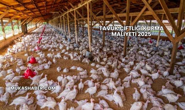 Tavuk Çiftliği Kurma Maliyeti 2025