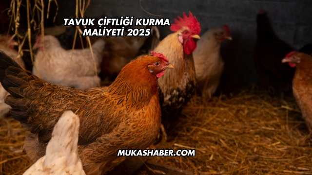 Tavuk Çiftliği Kurma Maliyeti 2025