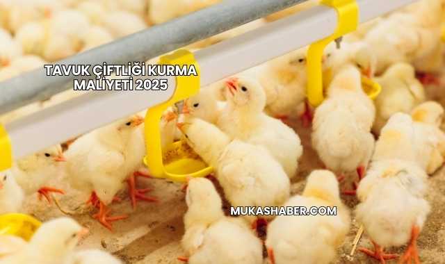 Tavuk Çiftliği Kurma Maliyeti 2025