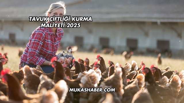 Tavuk Çiftliği Kurma Maliyeti 2025