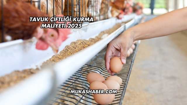 Tavuk Çiftliği Kurma Maliyeti 2025