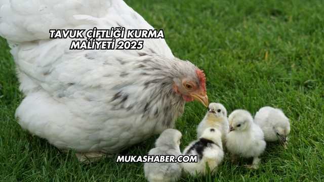 Tavuk Çiftliği Kurma Maliyeti 2025