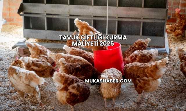 Tavuk Çiftliği Kurma Maliyeti 2025