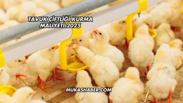 Tavuk Çiftliği Kurma Maliyeti 2025