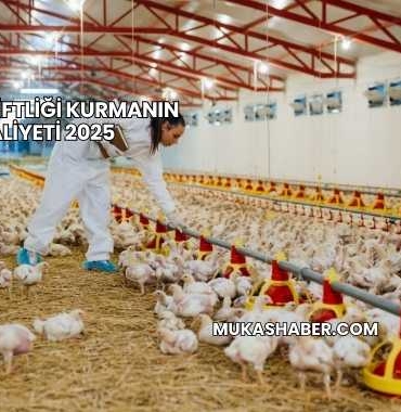 Tavuk Çiftliği Kurmanın Maliyeti 2025