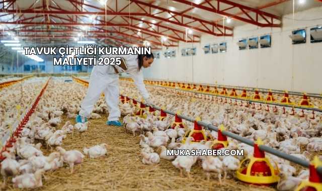 Tavuk Çiftliği Kurmanın Maliyeti 2025