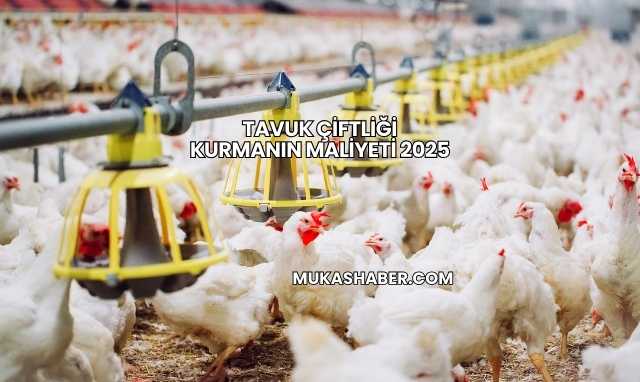 Tavuk Çiftliği Kurmanın Maliyeti 2025