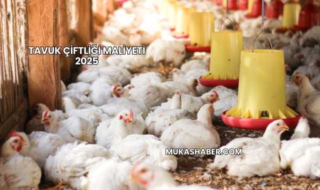 Tavuk Çiftliği Maliyeti 2025