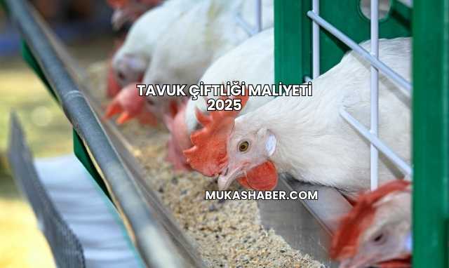 Tavuk Çiftliği Maliyeti 2025
