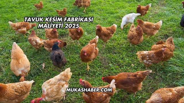 Tavuk Kesim Fabrikası Maliyeti 2025