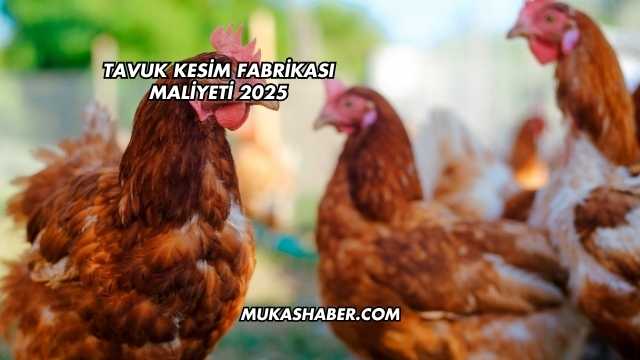 Tavuk Kesim Fabrikası Maliyeti 2025