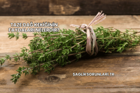 Taze Dağ Kekiğinin Faydaları Nelerdir?