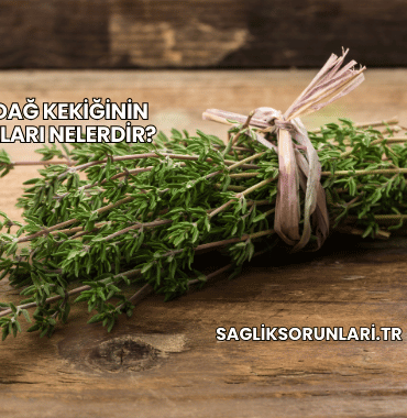 Taze Dağ Kekiğinin Faydaları Nelerdir?