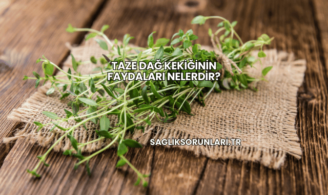 Taze Dağ Kekiğinin Faydaları Nelerdir?