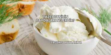 Taze Peynirin Faydaları Nelerdir?