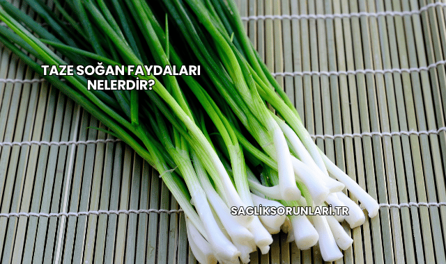 Taze Soğan Faydaları Nelerdir?
