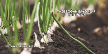 Taze Soğan Faydaları Nelerdir?