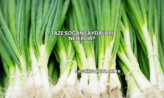 Taze Soğan Faydaları Nelerdir?
