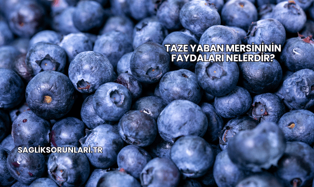 Taze Yaban Mersininin Faydaları Nelerdir?