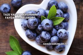 Taze Yaban Mersininin Faydaları Nelerdir?