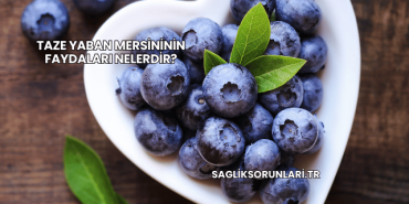 Taze Yaban Mersininin Faydaları Nelerdir?