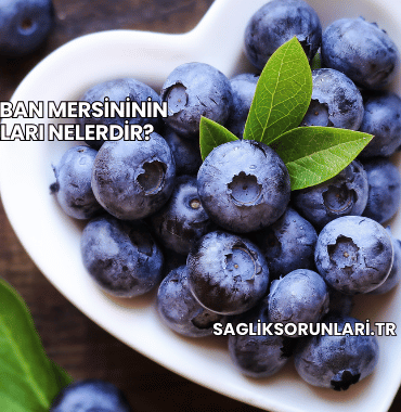 Taze Yaban Mersininin Faydaları Nelerdir?