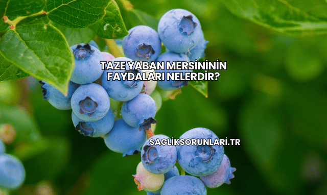 Taze Yaban Mersininin Faydaları Nelerdir?